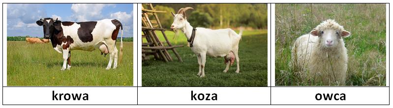 Piątek 16.04