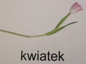 CZWARTEK 9.04.2020