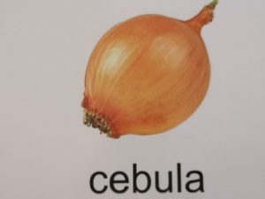 CZWARTEK 9.04.2020