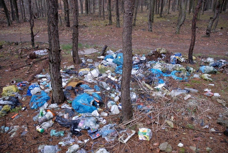 24.04.2020r. Piątek