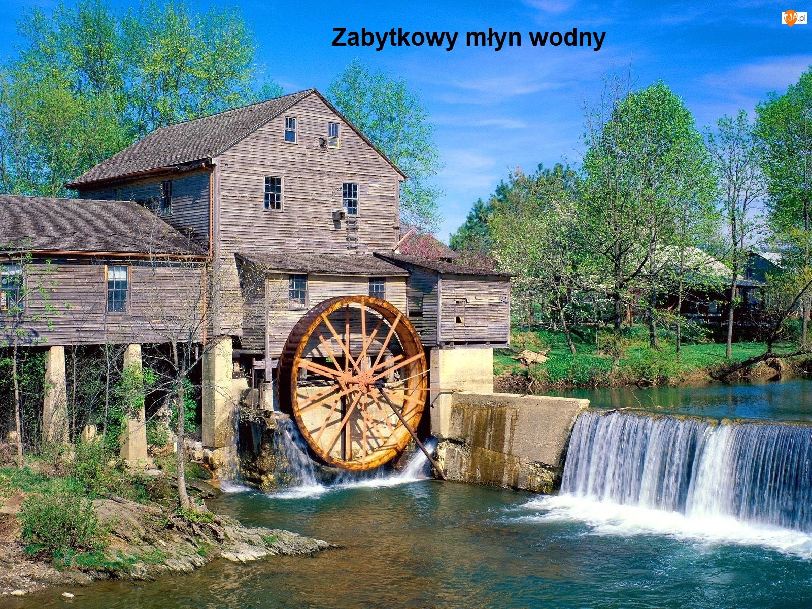 PIĄTEK 17.04.2020