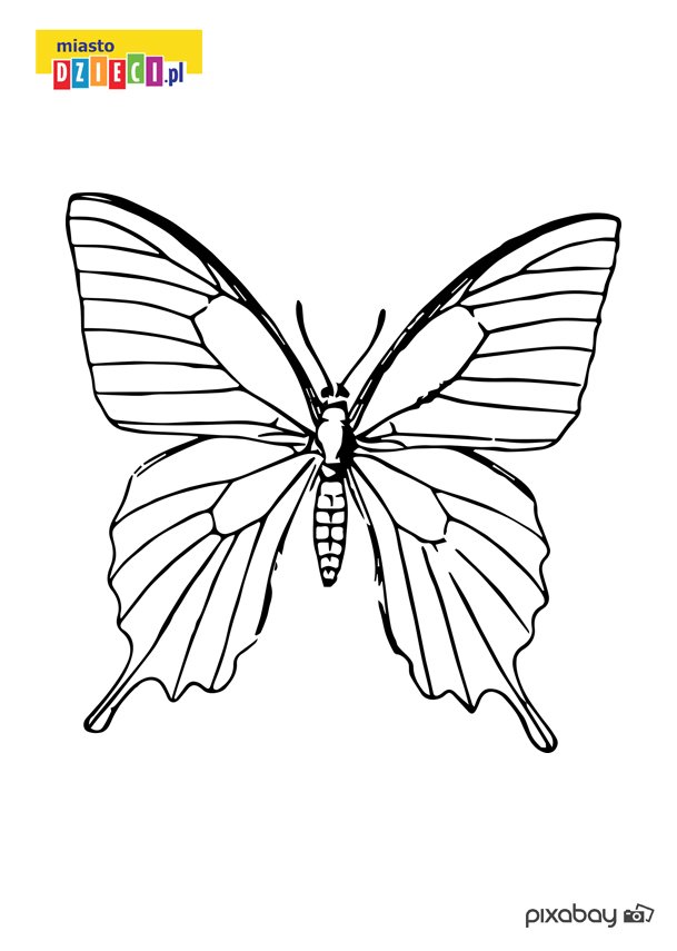 PONIEDZIAŁEK 4.05.2020