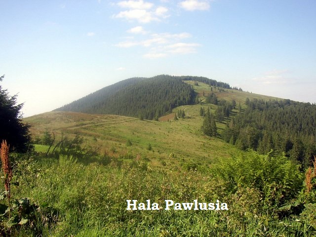 PONIEDZIAŁEK 08.06.2020 TEMAT TYGODNIA: WAKACJE TUŻ, TUŻ...