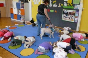 Dogoterapia z Amirą