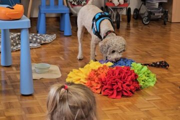 Dogoterapia z Amirą