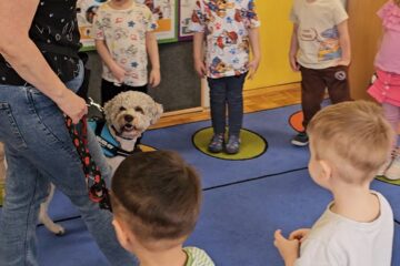 Dogoterapia z Amirą