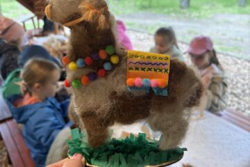 IMG 4947