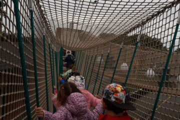 Automatycznie zapisany szkic