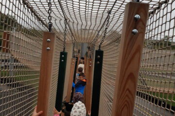 Automatycznie zapisany szkic