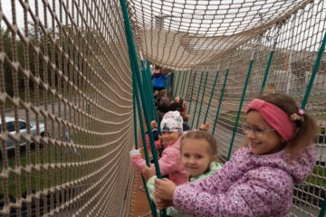 Automatycznie zapisany szkic