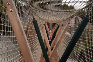 Automatycznie zapisany szkic