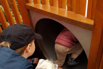 Automatycznie zapisany szkic