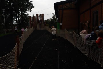 Automatycznie zapisany szkic