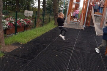 Automatycznie zapisany szkic