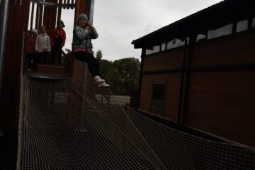 Automatycznie zapisany szkic