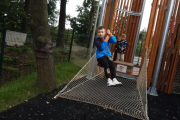 Automatycznie zapisany szkic