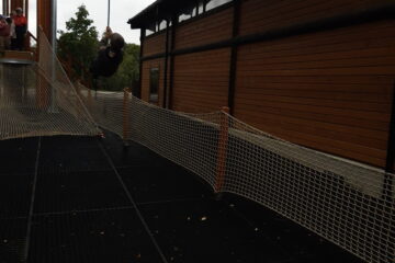 Automatycznie zapisany szkic