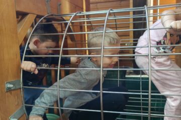 Wycieczka do Parku Atrakcji YELONKOWO.