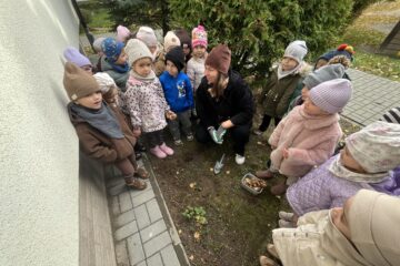 Żonkilowe pola nadziei.