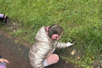 IMG 1313