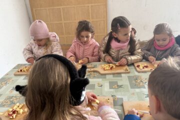 IMG 1605