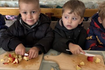IMG 1617
