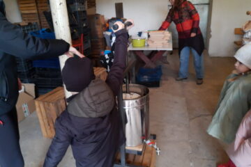 wycieczka do sadu powitanie pani jesieni w języku angielskim