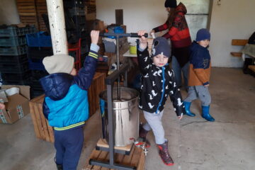 wycieczka do sadu powitanie pani jesieni w języku angielskim