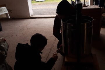 wycieczka do sadu powitanie pani jesieni w języku angielskim