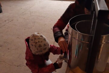 wycieczka do sadu powitanie pani jesieni w języku angielskim