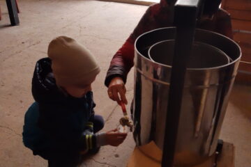 wycieczka do sadu powitanie pani jesieni w języku angielskim