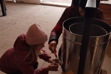 wycieczka do sadu powitanie pani jesieni w języku angielskim