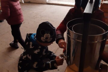 wycieczka do sadu powitanie pani jesieni w języku angielskim