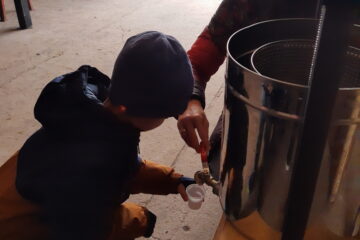 wycieczka do sadu powitanie pani jesieni w języku angielskim