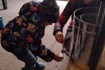 wycieczka do sadu powitanie pani jesieni w języku angielskim