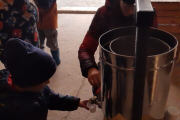 wycieczka do sadu powitanie pani jesieni w języku angielskim