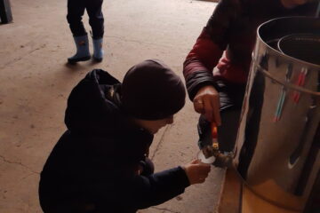 wycieczka do sadu powitanie pani jesieni w języku angielskim