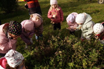 wycieczka do sadu powitanie pani jesieni w języku angielskim