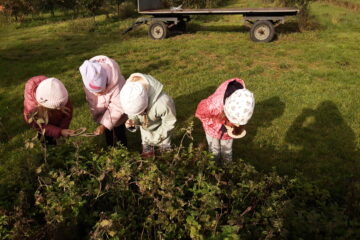wycieczka do sadu powitanie pani jesieni w języku angielskim