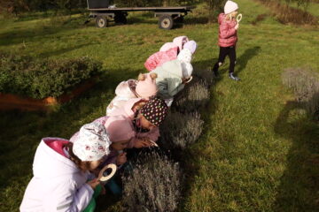 wycieczka do sadu powitanie pani jesieni w języku angielskim