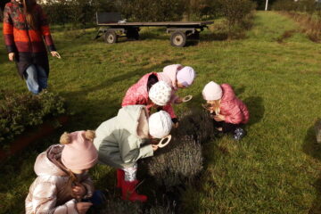 wycieczka do sadu powitanie pani jesieni w języku angielskim