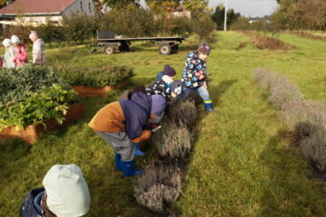 wycieczka do sadu powitanie pani jesieni w języku angielskim