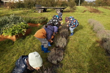 wycieczka do sadu powitanie pani jesieni w języku angielskim