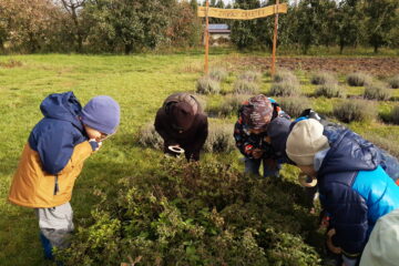 wycieczka do sadu powitanie pani jesieni w języku angielskim