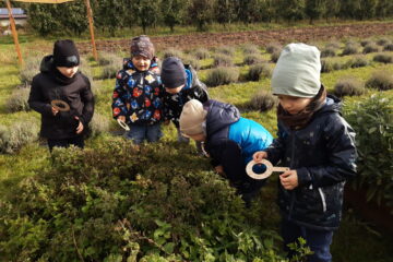 wycieczka do sadu powitanie pani jesieni w języku angielskim