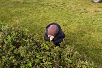 wycieczka do sadu powitanie pani jesieni w języku angielskim