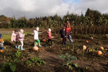 wycieczka do sadu powitanie pani jesieni w języku angielskim