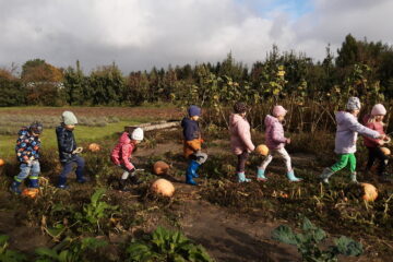 wycieczka do sadu powitanie pani jesieni w języku angielskim