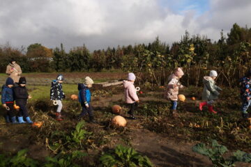 wycieczka do sadu powitanie pani jesieni w języku angielskim