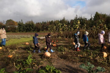 wycieczka do sadu powitanie pani jesieni w języku angielskim